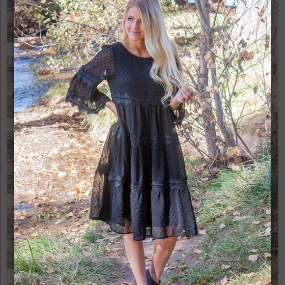 Eva Lace & Swiss Polka Dot Baby Doll Dress - Picture 2 of 4